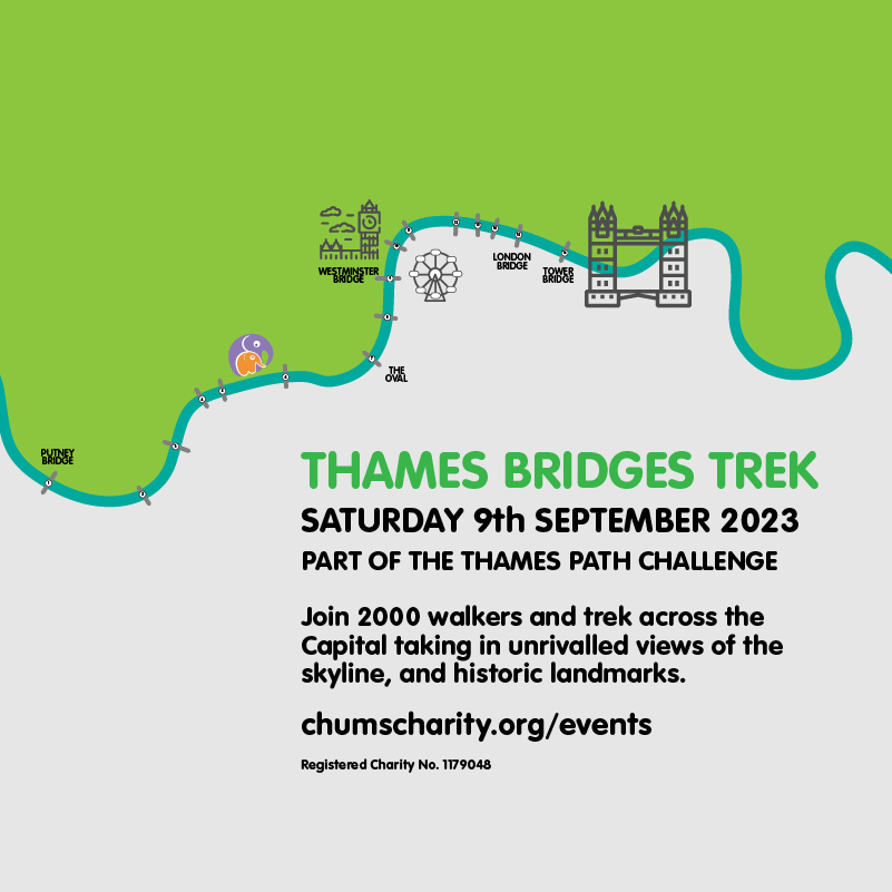 Thames Bridges Trek